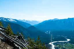 view