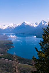 view