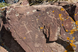 petroglyphs