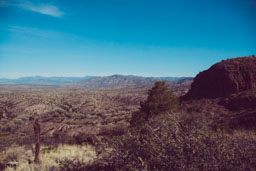 the view
