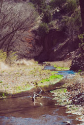 creek 2