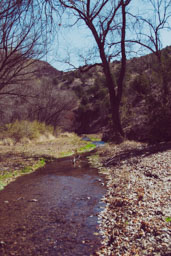 creek 1