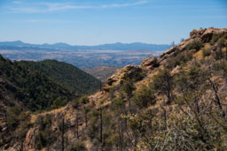 view